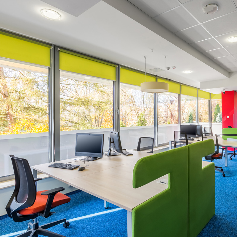 Colorful corporate interior with wood desks with green partitions